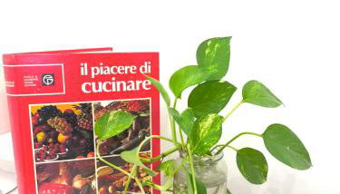 Casa con vista - Foto 4