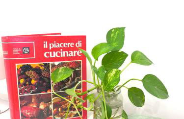 Casa con vista - Foto 4