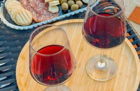 Vale Encantado Alfredo Wagner - Photo 35