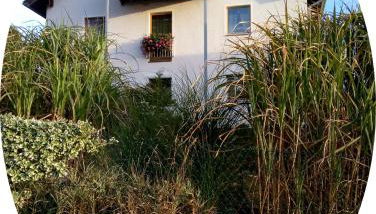 Ferienwohnung Uschkereit - Foto 4