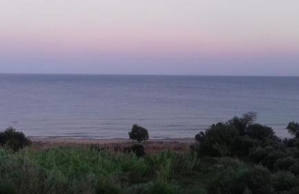 Margarita House - Photo 64