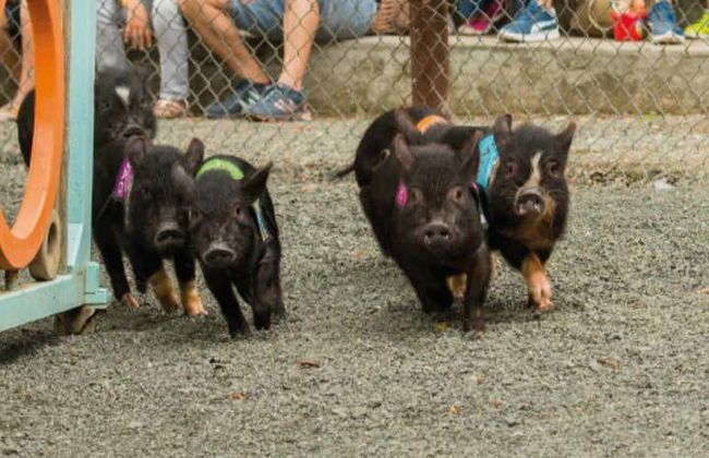 Parque Panaca Day Trip - Photo 6