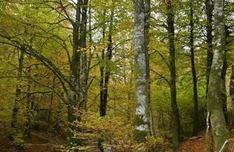 Casa Artegia - Foto 8