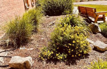 Iona Mercantile BnB - Foto 68