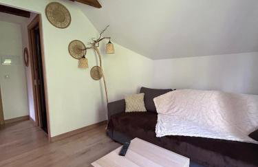 Apartahotel Canfranc - Foto 74