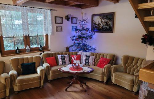 Dom w Górach Sowich Niedźwiedzia Gawra, Michałkowa - Foto 8