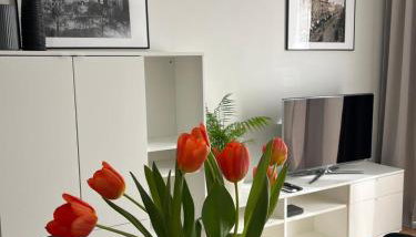 Metro Art Scandi Studio - Foto 5