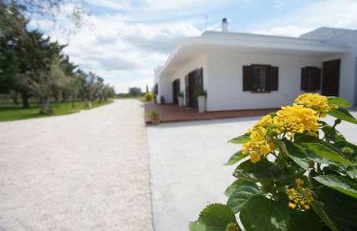 Gli Ulivi di Gino - Foto 58