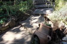 Ferienhaus Wald-Idyll Meisdorf - Foto 23