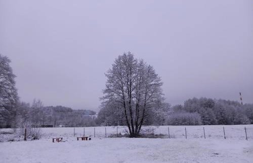 Dolina Sosny - Foto 26