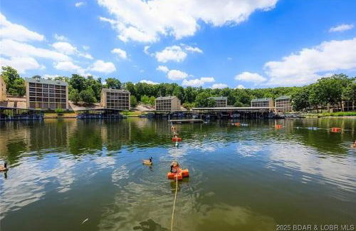 Sunshine and Roses Lakefront 1 Bed and 1 Bath Condo - Foto 2