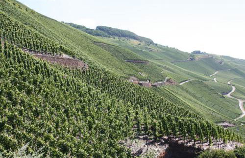 Moderne Ferienwohnung "Am Wald 2", ruhige Lage, viel Komfort, grosse Terrasse, - Foto 24