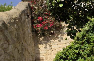 Casa Farrapos - Photo 36