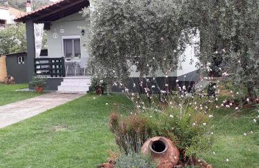 Villa Elia - Foto 10