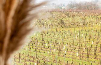 Maison 4 chambres avec jaccuzi piscine privée et sauna - Foto 38