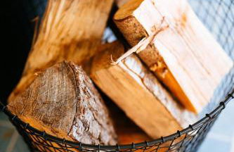 Ferienhaus Visselheide - Foto 49