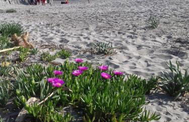 Tenuta del Bifan - Photo 47