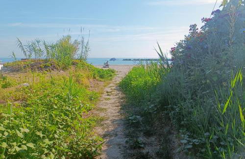 domus rosada - Foto 35