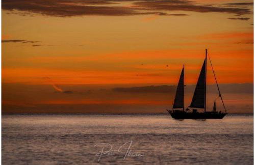 Finca Bernia Experience - Foto 68