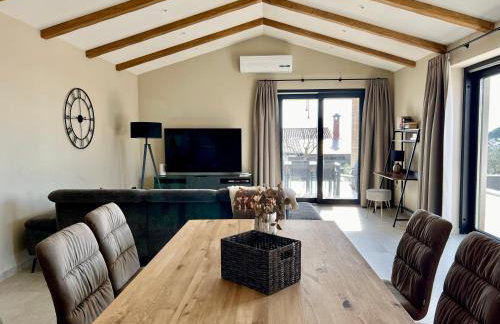 Villa Vinova Loza - Foto 9