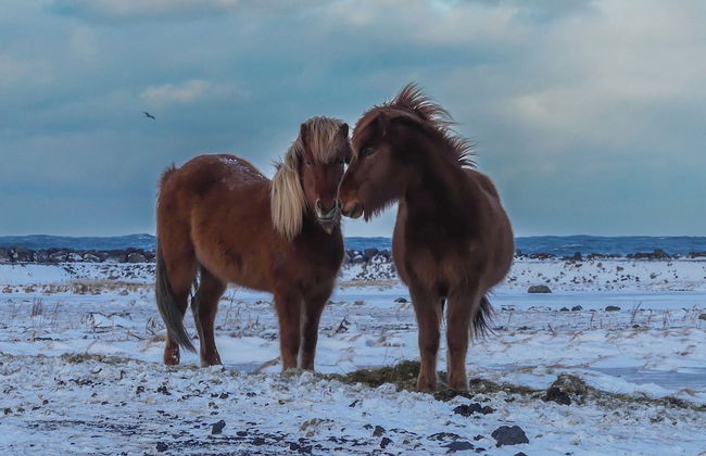 Mystic Light Lodge - Foto 14