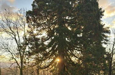 Villa HARMONIE - Foto 65