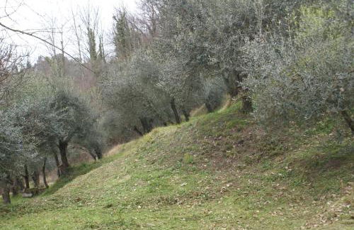 Tradizione Toscana ristrutturata nel 2021 - Foto 43