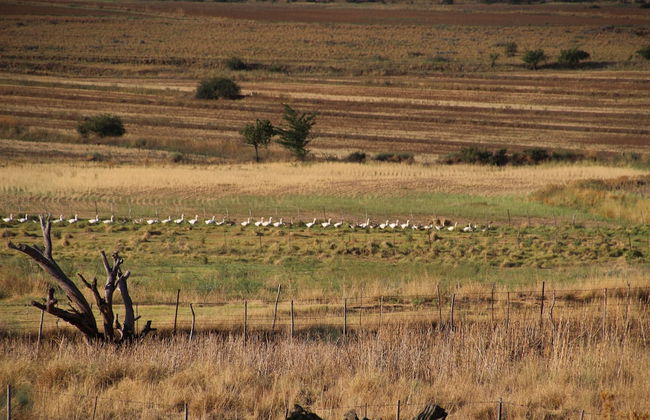 Springwater Cottages - Photo 43