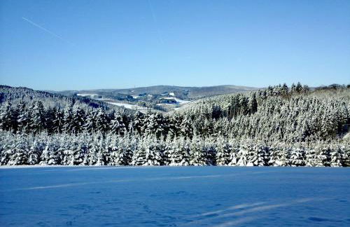 Ferienhaus Maag, 102qm - Foto 14