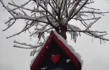Ferienwohnung Familie Buchner - Foto 28
