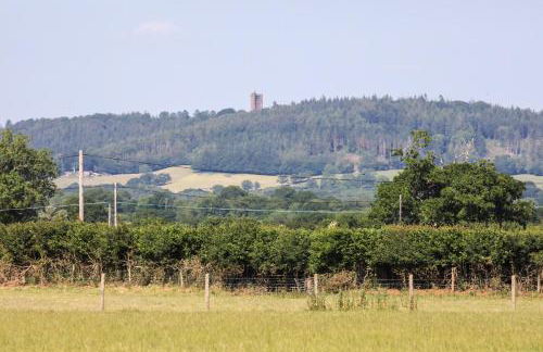 1 Bed Shepherds Hut - Sleeps 2 -wood Fired Hot Tub - Foto 19