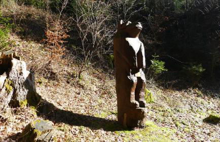 guest apartment niederalfingen - Foto 63