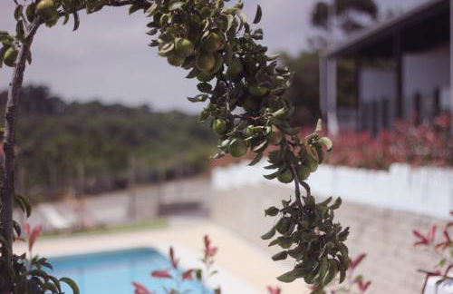 Madera y Mar (familias/parejas) - Foto 8