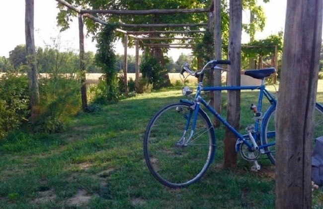 Agriturismo Pian del Tevere - Foto 26