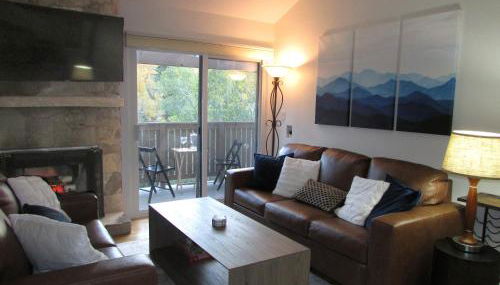 Beaver Creek, Avon condo, walk to ski shuttle - on the Eagle River - Foto 2