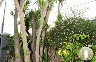 CASA DI ALICE A 250 METRI DAL MARE - Foto 13