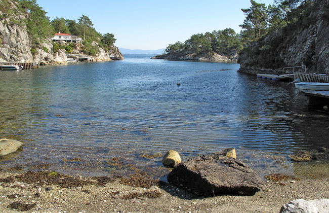 Laksevågen - Foto 15