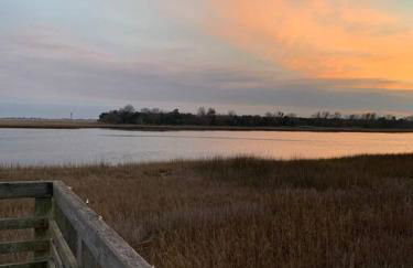 Downtown- Sunshine Cottage and Golf Cart - Foto 53