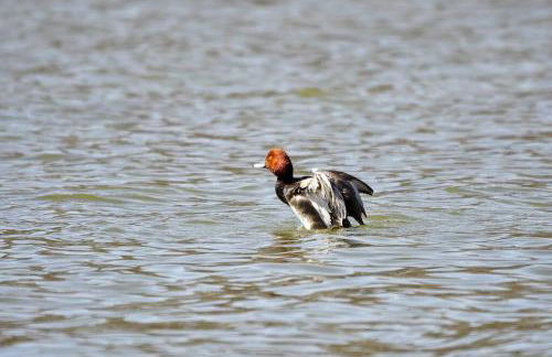 Cozy Indian Lake Chalet on Golf Course with Arcade/Gameroom - Foto 26