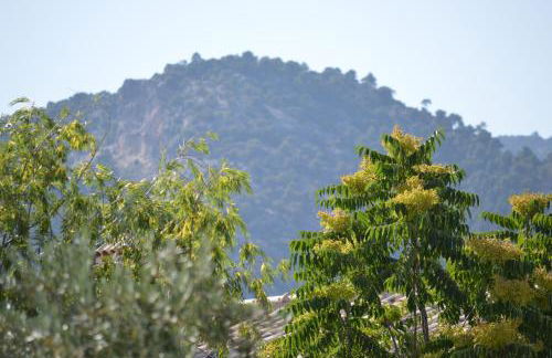 Complejo Rural Ibipozo - Foto 65