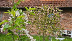 Landhaus Wohnung 30 Min bis Hamburg - Foto 5