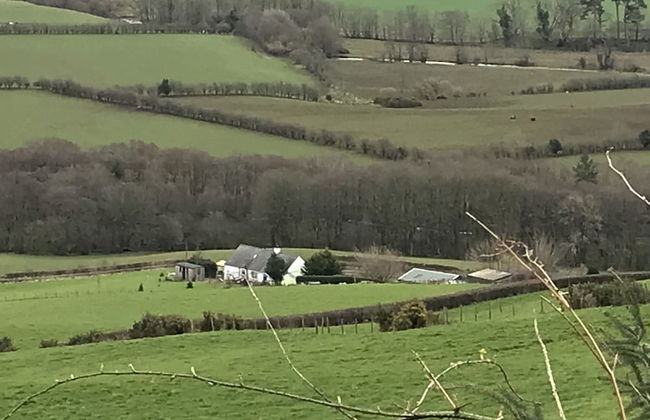 Shepherds Hut-1 Bed-hot Tub -views - Foto 30