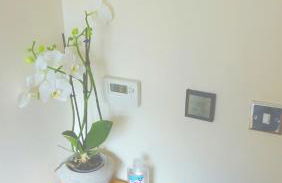 Wild Coastal Retreat at Troed Y Rhiw Aberporth, West Wales - Foto 9