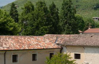 Fiori&vigne di Cecilia Marcon - Foto 33