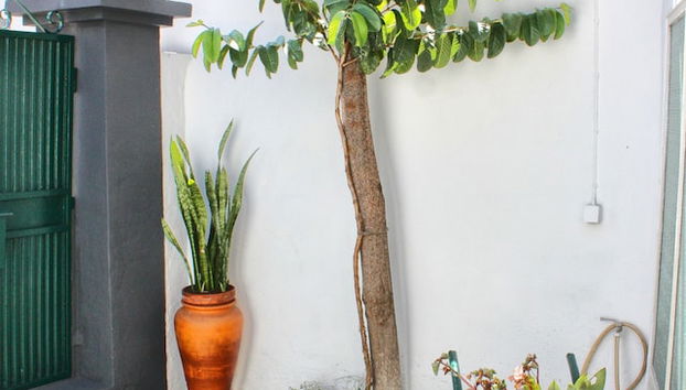 The House - Foto 2, Imagen principal