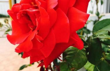 Casas Rurales Pericón - Foto 32