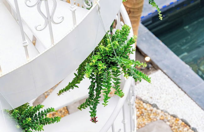 Villa Hanh Phuc Bai Chay - Photo 53