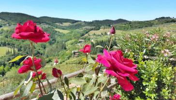 Iris nel Borgo - Foto 2