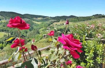 Iris nel Borgo - Foto 2