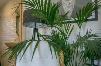 Villa Des oliviers - Foto 26